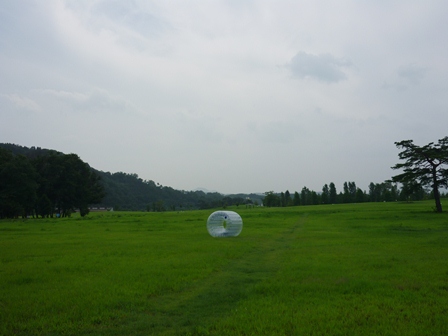 風の草原.JPG